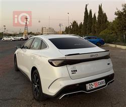 بي واي دي سيل 6